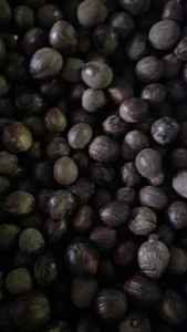 Nuez Moscada en Cáscara de Indonesia, 100% Nuez Moscada, 3 Años de Duración, Condimento de Buena Calidad y Precio - Product Image 3