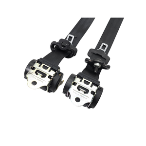 Cinghie Posteriori Lancia Ypsilon 4a Serie 735577180 (11>23) - Product Image 2