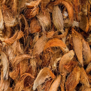 Fibra de Coco Natural de Alta Calidad para Colchones, Cepillos, Cuerdas, Tapetes de Cultivo, Fibra de Coco para Acolchado, Venta al por Mayor desde India - Product Image 2