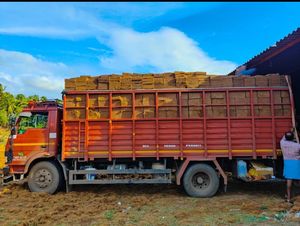 Bloc de tourbe de coco en vrac de la meilleure qualité avec emballage personnalisé pour plantes ornementales utilisation agricole autres applications - Product Image 2