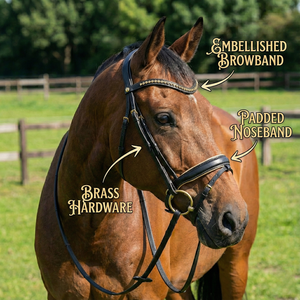 Brida de Equitación Inglesa de Primera Calidad con Elegante Cuero Negro, Diadema con Cristales Dorados, Muserola Acolchada, Colores Personalizables - Product Image 4