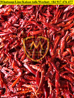 Piment rouge séché d'origine vietnamienne de qualité alimentaire prêt pour l'exportation traitement brut WhatsApp 84 917 476 477