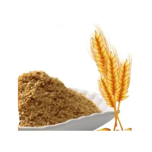優れた品質のハラール証明書小麦発芽エキスのリーダーが最高の競争力のある価格で食品グレードの小麦発芽エキス
