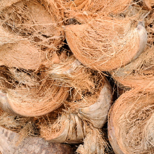 Fibre de coco haute résistance écologique (Viet Seafarm VSF_CF) Applications industrielles et domestiques Agriculture 19% d'humidité 3% Durée de conservation 1 an - Product Image 2