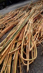 Écorce de rotin de haute qualité en grandes quantités pour une utilisation dans les centres commerciaux provenant du Vietnam - Product Image 4