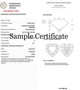 Diamant SHRAMAN 2,50 carats, taille cœur, blanc G VS2, cultivé en laboratoire, synthétique HPHT CVD, certifié IGI, diamant en vrac, pour femmes, Saint-Valentin - Product Image 2