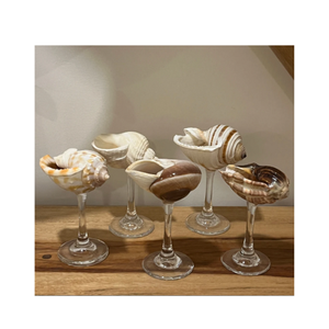Seashell <b>glasses</b> with detailed shell mosaic and <b>glass</b> cup, Vietnam artisan design for luxury table settings - Product Image 4