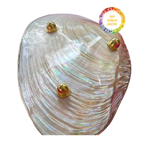 Placa de nácar de Vietnam, artesanía hecha a mano para decoración del hogar y exhibición de mesa - Product Image 1