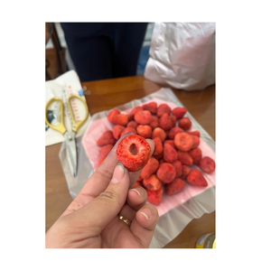 Vente en gros de chips de fraises croustillantes avec arôme intense et goût de fruits audacieux directement des fermes locales du Vietnam - Product Image 1