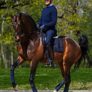 Almohadilla de sillín de caballo inglés acolchada transpirable de la mejor calidad, Material duradero para entrenamiento y competición, almohadillas de sillín OEM - Product Image 6