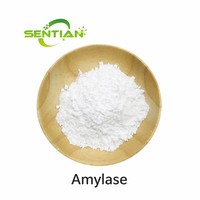 Poudre d'enzyme alpha-amylase de qualité alimentaire CAS 9000-90-2, haute activité, pour la transformation de l'amidon, la pâtisserie et la brasserie
