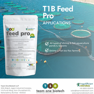 Probiotiques ciblés sur les intestins pour les additifs alimentaires en poudre pour poissons et crevettes - Product Image 3