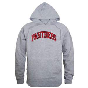 Sudadera con capucha de invierno con forro bordado de panteras, sudadera de espíritu escolar con estampado de pecho audaz, ropa universitaria personalizada, algodón Unisex - Product Image 3