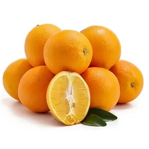 Di alta qualità ombelico biologico e arancio Valencia agrumi freschi provenienti dall'egitto