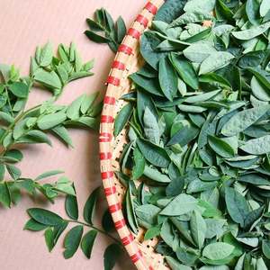 HOJA DULCE SECA GRAN EXPORTACIÓN/LIMPIAMENTE PROCESADA/100% NATURAL - Product Image 1