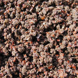 Semilla de aliso - Product Image 1