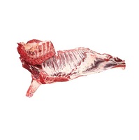 Daging Sapi Beku Segar Alami Daging Sapi Beku Bagian Depan