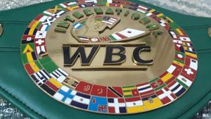 Cinturones de campeonato de boxeo Trofeos Medallas y premios el símbolo definitivo de la victoria y la excelencia Cinturones de Campeonato - Product Image 5