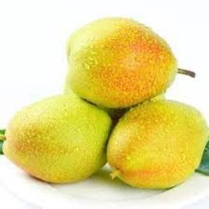 Pêres fraîches parfumées - Qualité supérieure 180g-250g - Douces et juteuses - Approvisionnement en vrac avec une durée de conservation de 21 à 30 jours - Product Image 1