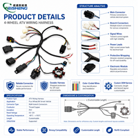Harnais de câblage pour VTT à 4 roues, personnalisé, en PTFE, nylon, PBT, étanche IP67, assemblage multi-connecteurs