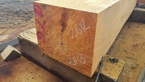 Fábrica al por mayor Ekop Naga de madera decorada de doble cara y madera - Product Image 5