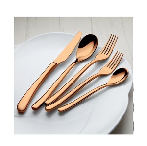 Cubiertos de acero inoxidable con espejo, juego de cubiertos de fábrica, gran oferta, 5 piezas - Product Image 6