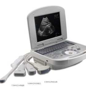 Pemindai <span class=keywords><strong>Ultrasound</strong></span> terapeutik dokter hewan portabel untuk pencitraan diagnostik medis untuk Klinik dokter hewan - Product Image 2