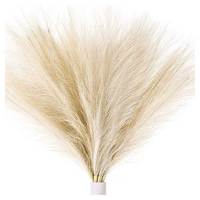 Lot de 6 Plumes de Pampa Artificielles Écologiques Longue Durée, Décoration Florale pour Vase Intérieur/Extérieur, Décoration Maison ABK - Meilleures Ventes