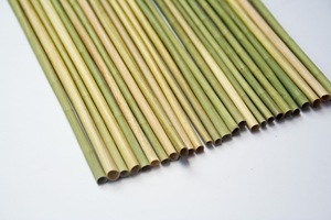 BIODEGRADABLE <b>STRAWS</b>/ VIETNAMESE ECO-FRIENDLY GRASS <b>STRAWS</b> MANUFACTURE WHOLESALE GRASS STEAWS CUSTOM BY ECO2GO VIETNAM - Product Image 4