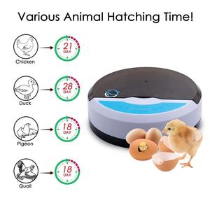 Mini Hoàn Toàn Tự Động Lồng Ấp Trứng 9 Gà Vịt Ngỗng Máy Hatcher Brooders Cho Gà Con - Product Image 4