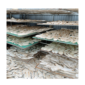 Fournitures de perroquet jouet à mâcher pour oiseaux Offre Spéciale, os de seiche séché, os de seiche séché naturel, os de calmar pour perroquets et reptiles - Product Image 5