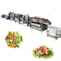 Lonkia Automatische Plantaardige Productielijn Salade Groente Verwerkingslijn Salade Wasmachine