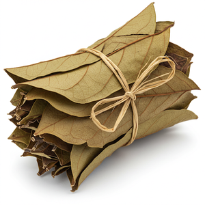 Feuilles de corossol séchées de haute qualité du Vietnam produit agricole en gros - Product Image 5