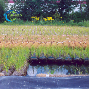 Large Supply COIR LOG / PALM MAT Best Size 35cm X 2m Environmentally Safe Bank Stabilization: Coir Log for River and Seafronts - Product Image 2