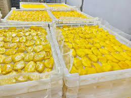 Tropical Thai Mango <strong>Snacks</strong> - Naturally Sweet Private Label, Soft Dried Mango from Vietnam +84 379 472 573