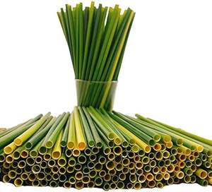 Eco2go Vietnam's Healthy Biodegradable Grass Straw Reliable <b>Bar</b> <b>Accessories</b> <b>for</b> Every <b>Home</b> - Product Image 5