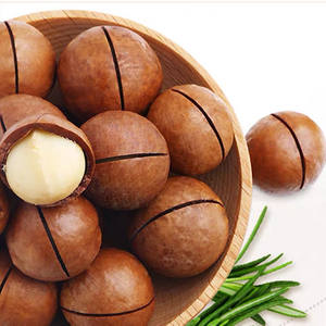 Nueces de Macadamia de grado A de gran tamaño, baja humedad - Product Image 1