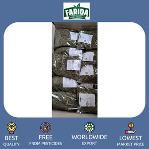 Hojas de Molokhia/enteras/trituradas/en polvo a precio a granel, especias y hierbas individuales superventas de exportación de origen egipcio de calidad estándar - Product Image 2