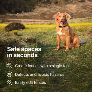 Bundle Alph 200/TT 15X Navigatore GPS Localizzatore per Cani GSM 256G IPX7 Impermeabile Touchscreen Design a 6 Pulsanti Leggibile alla Luce Solare - Product Image 4