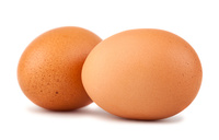 Oeufs de table de poulet frais biologiques et œufs à couver fertilisés/Oeufs de table de poulet frais blancs et bruns