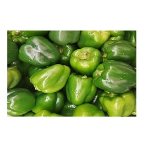 Pimiento fresco, chile fresco, pimiento rojo fresco listo para transportar, buena calidad, exportación directa - Product Image 3