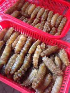 Premium Vietnamese Dried Sea Cucumber for Export - Product Image 5