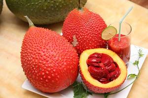 Momordica cochinchinensis huile Gac huile Viet Nam Cochinchin gourde haute qualité - Product Image 5