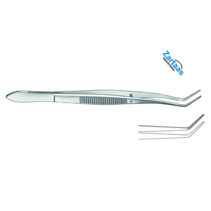 Pinzas Dentales Meriam de Acero Inoxidable de Alta Calidad, Figura 1, Longitud 16 cm, Fabricante y Exportador de Instrumentos Dentales - Product Image 6