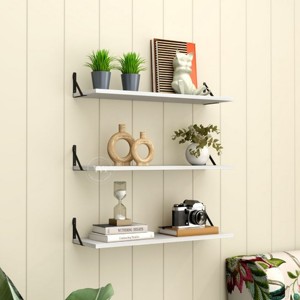 Estante de pared al mejor precio en India Estante de almacenamiento para sostener macetas Hermoso arte de pared-¡Compre ahora! - Product Image 1