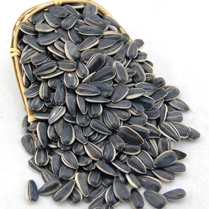 Whole sale price High quality Wholesale Sunflower seeds price for sale