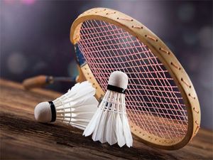 Zentra RX Sports SR33 - Volante de Bádminton Profesional de Alta Calidad, Ecológico, con Logotipo Personalizado para Uso Deportivo - Product Image 5