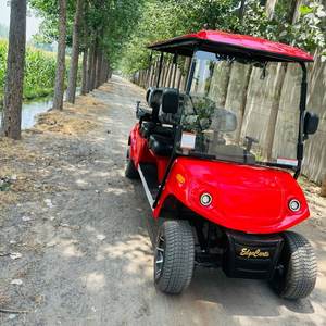 6-Seater Electric <b>Golf</b> <b>Cart</b> - Product Image 4