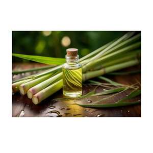 Aceite esencial de hierba de limón Natural de alta calidad, difusor de humidificador de aromaterapia, aceite esencial - Product Image 2