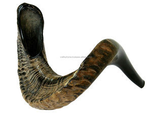 Corne de bélier Shofar Corne naturelle Shofar pour souffler de qualité supérieure Casher Shofar Kudu Corne de bélier polie à bas prix - Product Image 4